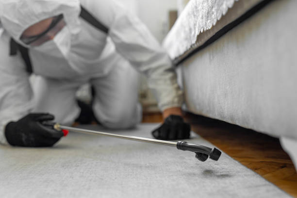 Professional Ant Control technician working in Presque Isle, ME
