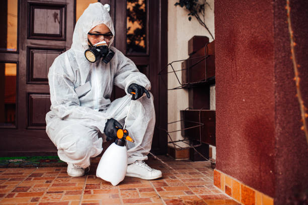Reliable Ant Control contractor in Presque Isle, ME by Nex Pest Control