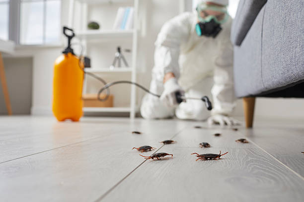 Trusted Cockroach Control service in Presque Isle, ME - Nex Pest Control