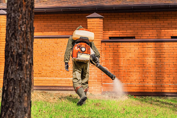 Trusted Emergency Pest Control service in Presque Isle, ME - Nex Pest Control